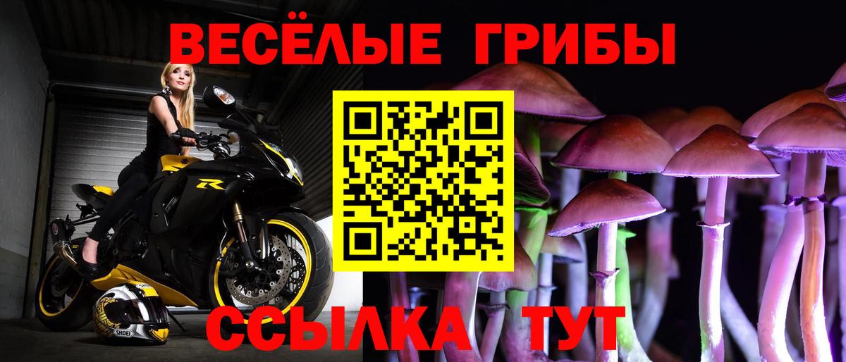 наркотики  Псилоцибиновые грибы мицелий  Вход с VPN  Выкса 