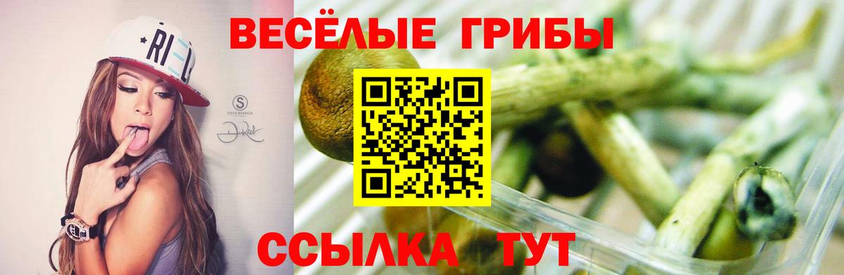 Псилоцибиновые грибы MAGIC MUSHROOMS Выкса